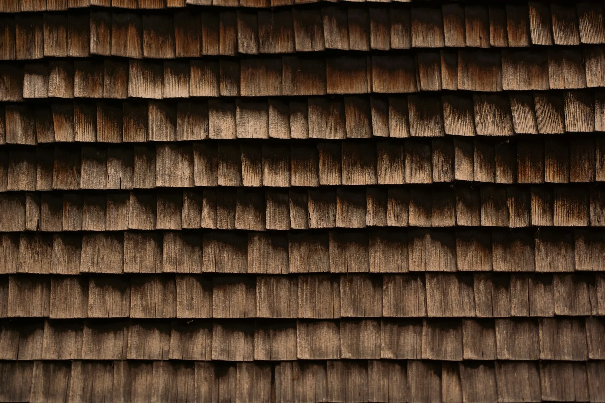 Brown cedar shingles in tight rows across a roof